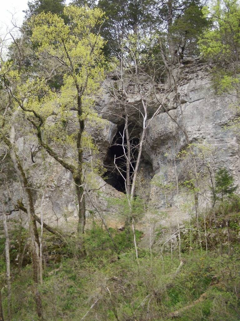 Cave on the Duck River