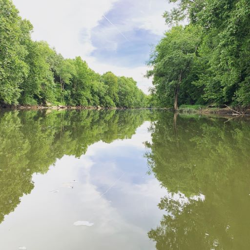 Calm Waters on the Duck RIver